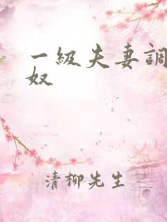 一级夫妻调教男奴