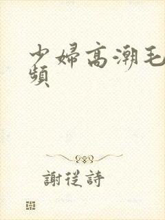 少妇高潮毛片视频