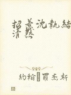 招惹沈执结局林清然