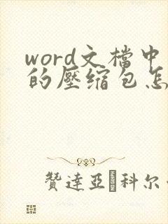 word文档中的压缩包怎么另存