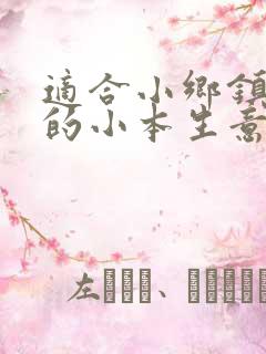 适合小乡镇投资的小本生意