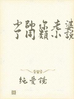 少帅你老婆又跑了同类小说