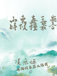 山东春玉米什么时候种最合适