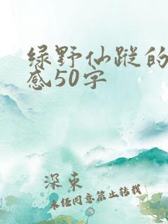 绿野仙踪的读后感50字