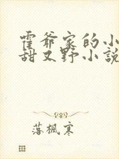 霍爷家的小祖宗甜又野小说免费阅读