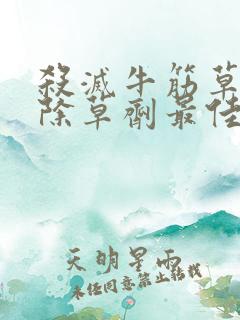 杀灭牛筋草什么除草剂最佳