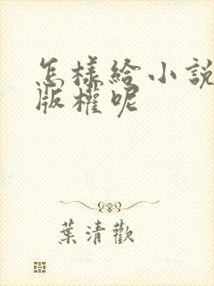 怎样给小说申请版权呢