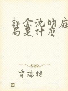 许念沈明庭大结局是什么