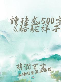 读后感500字《骆驼祥子》