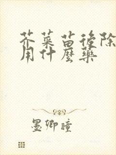 芥菜苗后除草剂用什么药