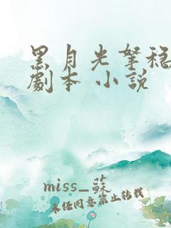 黑月光拿稳be剧本 小说