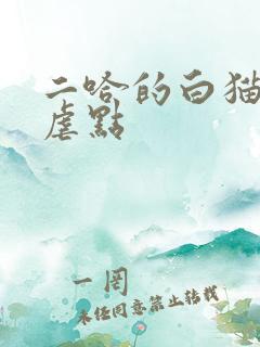 二哈的白猫师尊虐点
