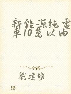 新能源纯电动汽车10万以内