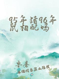 95年猪96年鼠相配吗