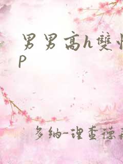 男男高h双性np