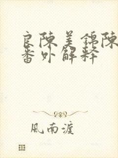 良陈美锦陈玄青番外解释