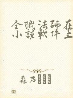 全职法师在哪个小说软件上看