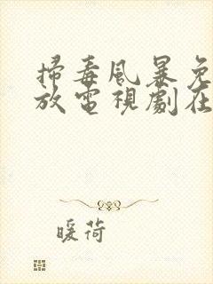 扫毒风暴免费播放电视剧在线观看全集