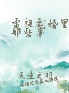 电视剧婚里婚外那些事