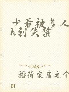 少爷被多人玩弄h到失禁