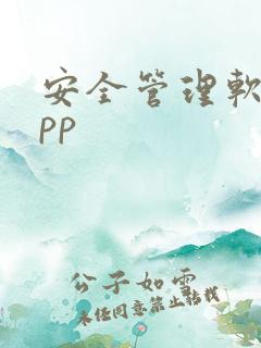 安全管理软件app