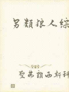 另类狼人综合网