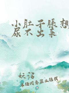 小肚子胀想尿又尿不出来