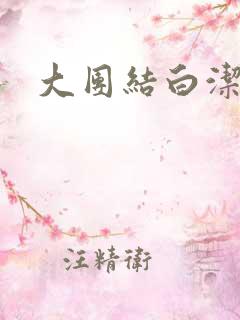 大团结白洁目录