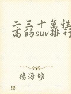 二三十万性价比高的suv排行榜 二三十万性价比高的suv排行榜