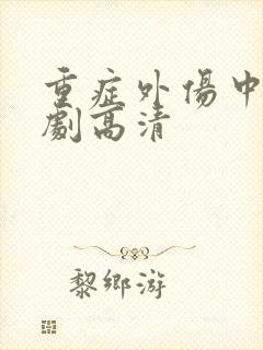 重症外伤中心韩剧高清