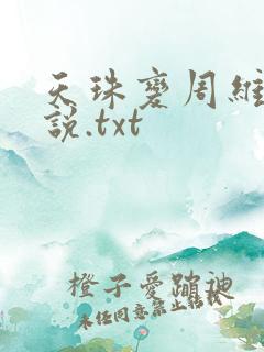 天珠变周维清小说.txt