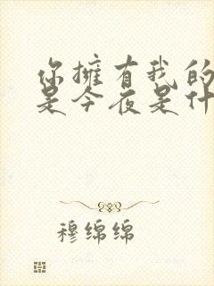 你拥有我的不只是今夜是什么歌