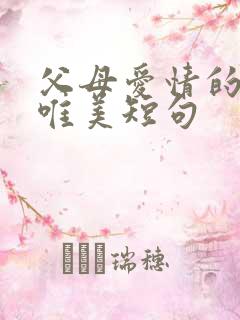 父母爱情的句子唯美短句