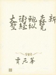 大卫鲍森新旧约圣经纵览