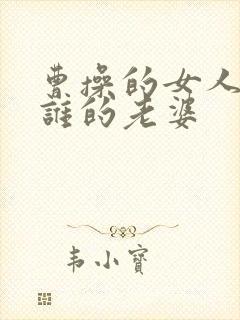 曹操的女人都是谁的老婆