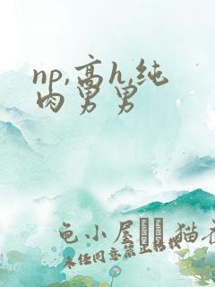 np,高h,纯肉男男