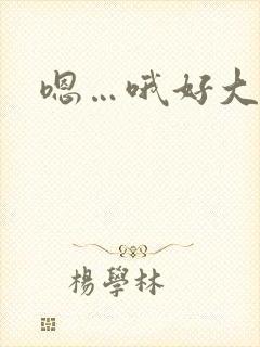嗯…哦好大好爽