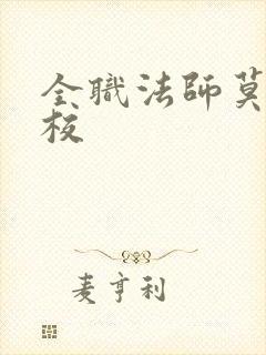 全职法师莫凡精校