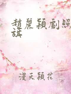 赵丽颖剧照扛大旗