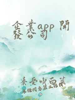 企业app 开发公司