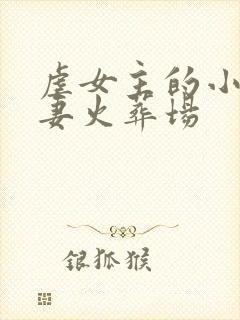 虐女主的小说追妻火葬场
