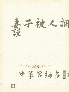 妻子被人调教小说