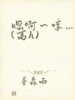 嗯啊～哼…啊哈(高h)