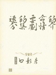 远的要命的爱情分集剧情介绍