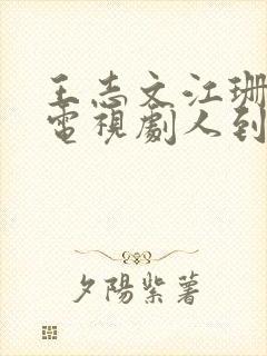 王志文江珊主演电视剧人到四十