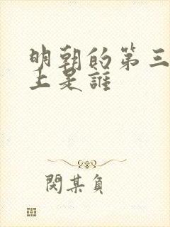 明朝的第三位皇上是谁