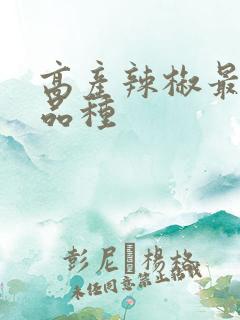 高产辣椒最好的品种
