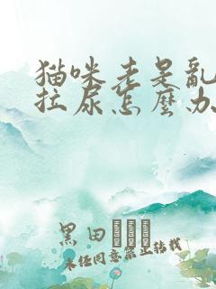 猫咪老是乱拉屎拉尿怎么办