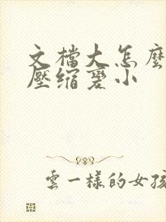 文档大怎么可以压缩变小