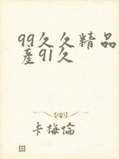 99久久精品国产91久